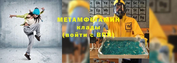 прущие грибы Алзамай