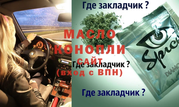 мет Алексин
