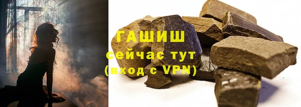 прущие грибы Алзамай