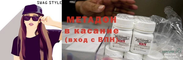 прущие грибы Алзамай