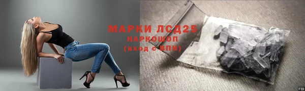 индика Армянск