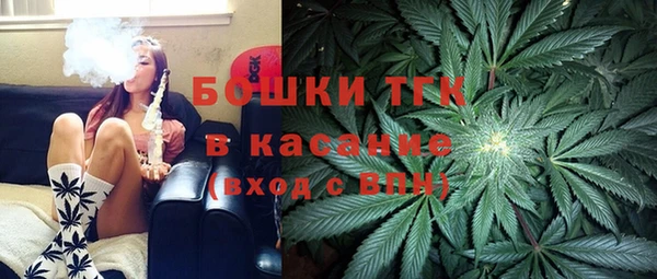 прущие грибы Алзамай