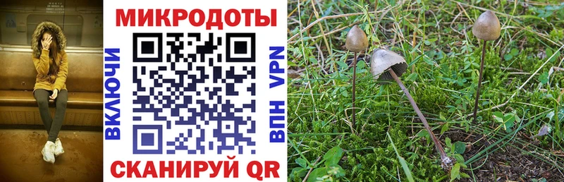 закладки  Аткарск  Псилоцибиновые грибы ЛСД 